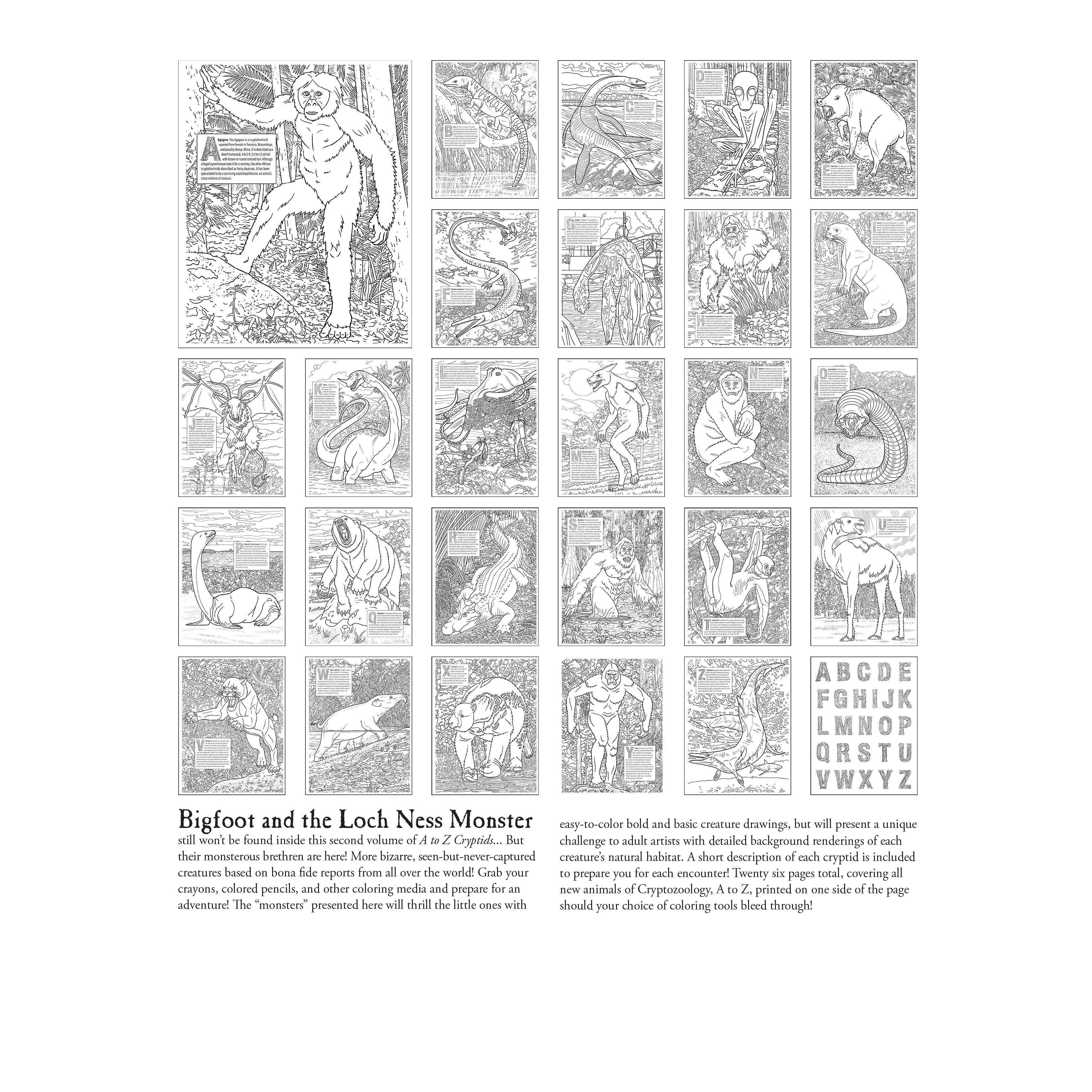 Books & Gifts :: Bigfoot - Books & Gifts :: Bigfoot Books