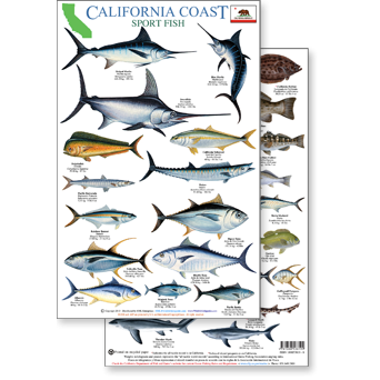Books & Gifts :: Science & Nature :: Field Identification Guides ...