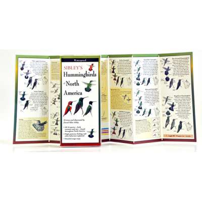 Sibley's Hummingbirds of North America (Folding Guides)