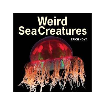 Weird Sea Creatures