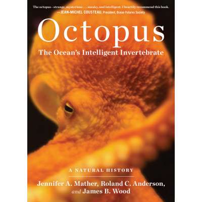 Kids Books about Fish & Sea Life :Octopus: The Ocean's Intelligent Invertebrate