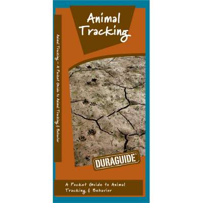 Animal Tracking