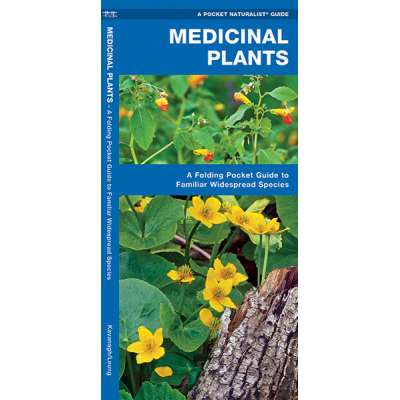 Medicinal Plants