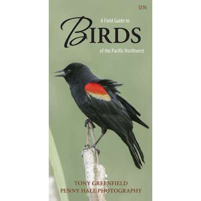 Bird Identification Guides :A Field Guide to Birds of the Pacific Northwest (Folding Pocket Guide)