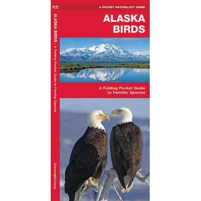 Alaska Birds (Folding Pocket Guide)