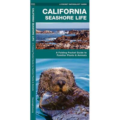 Beachcombing & Seashore Field Guides :California Seashore Life