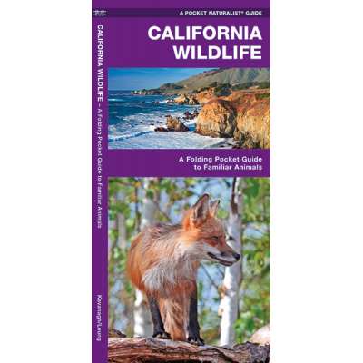 Mammal Identification Guides :California Wildlife