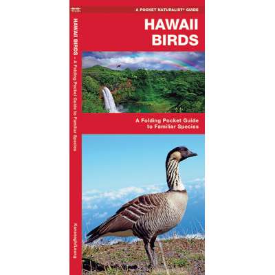 Hawaii Birds (Folding Pocket Guide)