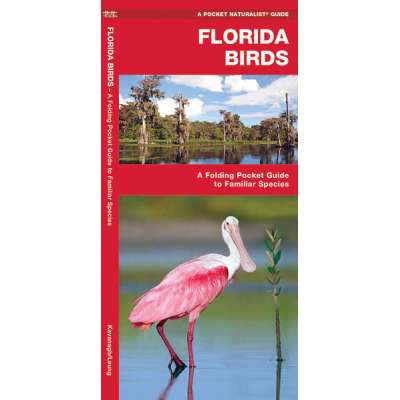 Bird Identification Guides :Florida Birds