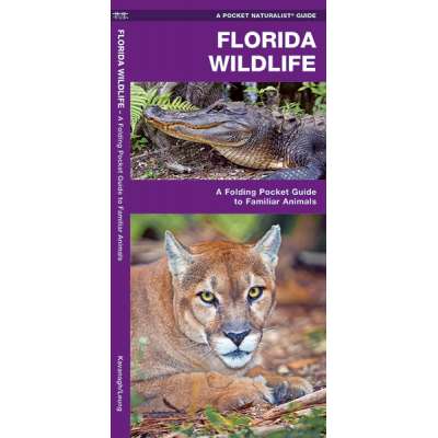 Mammal Identification Guides :Florida Wildlife
