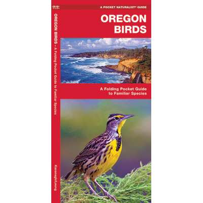 Bird Identification Guides :Oregon Birds