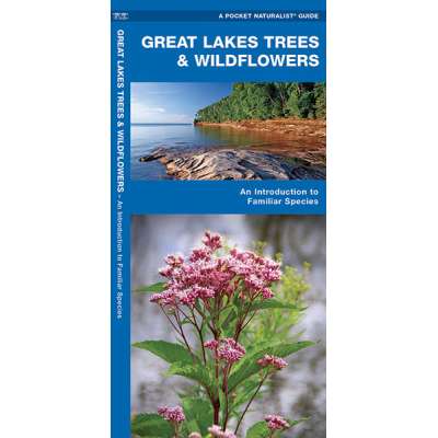 Great Lakes Trees & Wildflowers (Folding Pocket Guide)