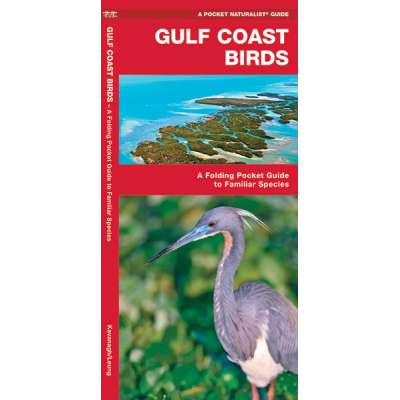 Gulf Coast Birds