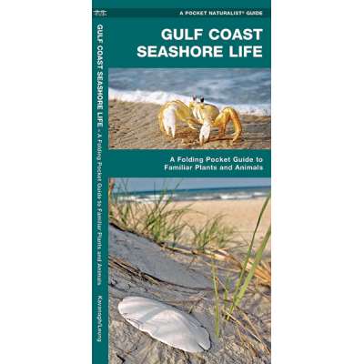 Gulf Coast Seashore Life