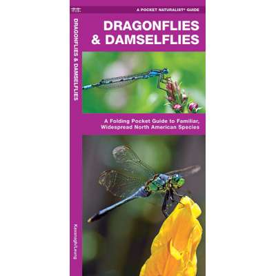 Insect Identification Guides :Dragonflies & Damselflies