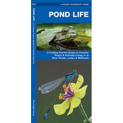 Pond Life