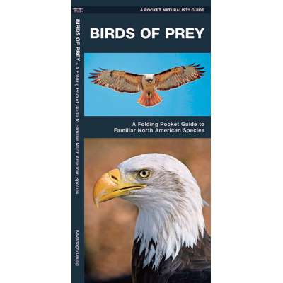 Birds of Prey