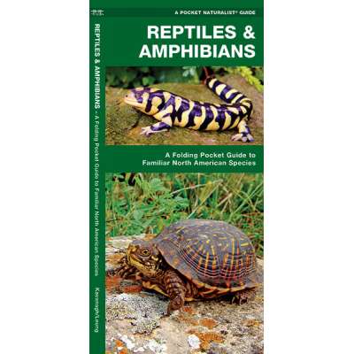 Reptiles & Amphibians  (Folding Pocket Guide)