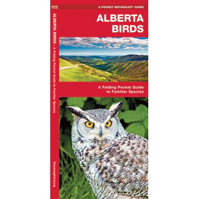 Birding :Alberta Birds
