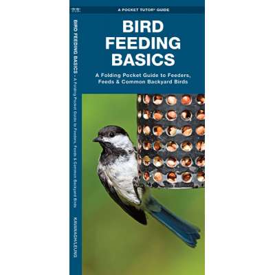 Bird Feeding Basics