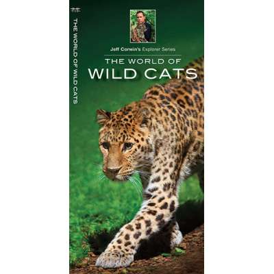 The World of Wild Cats