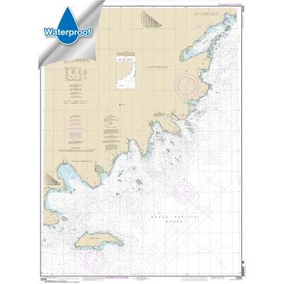 Waterproof NOAA Charts :Waterproof NOAA Chart 16568: Wide Bay to Cape Kumlik: Alaska Pen.
