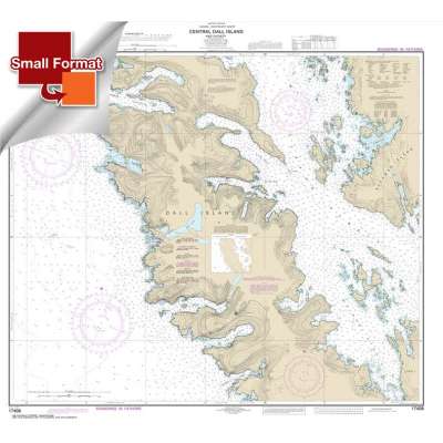 Alaska NOAA Charts :Small Format NOAA Chart 17408: Central Dall Island and vicinity