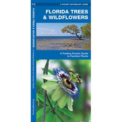 Florida Trees & Wildflowers