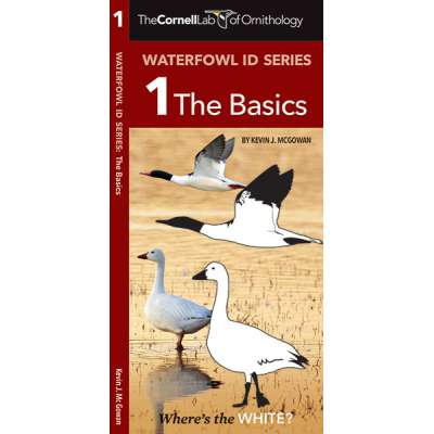 Cornell Lab of Ornithology Waterfowl ID: #1 The Basics