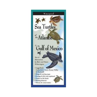 Sea Turtles of the Atlantic & Gulf of Mexico