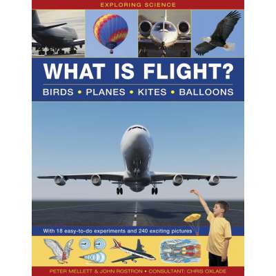 Exploring Science: What is Flight?