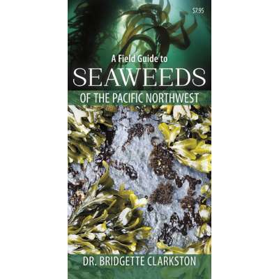 A Field Guide to Seaweeds of the Pacific Northwest