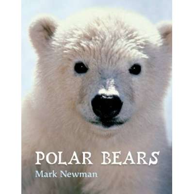 Polar Animals :Polar Bears