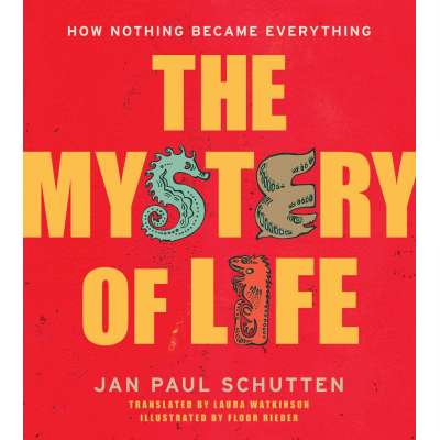 The Mystery of Life: How Nothing Became Everything