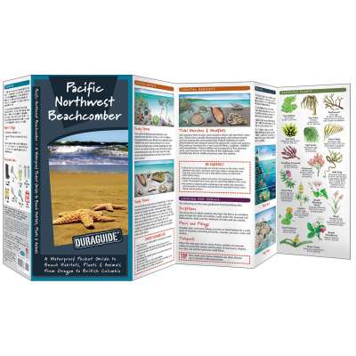 Beachcombing & Seashore Field Guides :Pacific Northwest Beachcomber