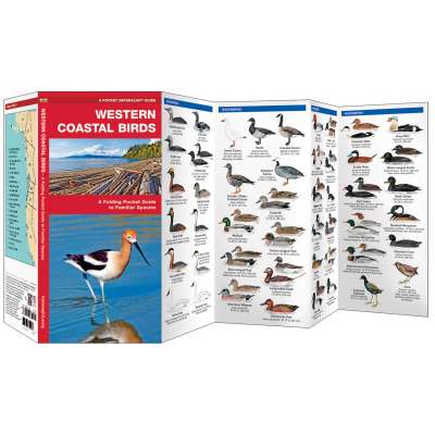 Western Coastal Birds