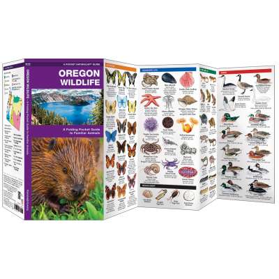 Mammal Identification Guides :Oregon Wildlife