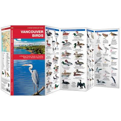 Vancouver Birds (Folding Pocket Guide)