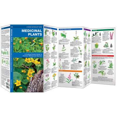 Medicinal Plants