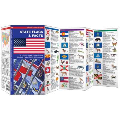State Flags & Facts