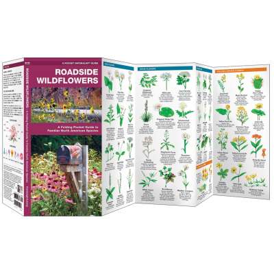 Roadside Wildflowers (Folding Pocket Guide)