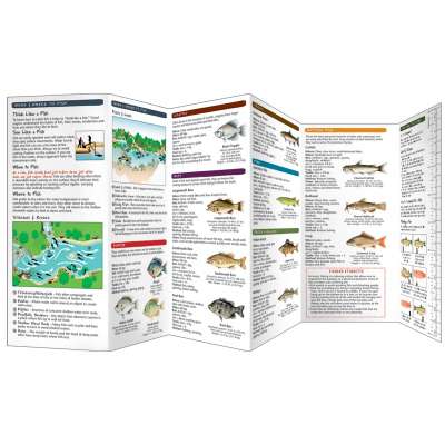 Freshwater Fishing (Folding Pocket Guide)