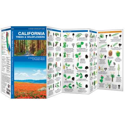 California Trees & Wildflowers