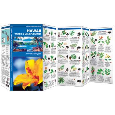 Plant & Flower Identification Guides :Hawaii Trees & Wildflowers