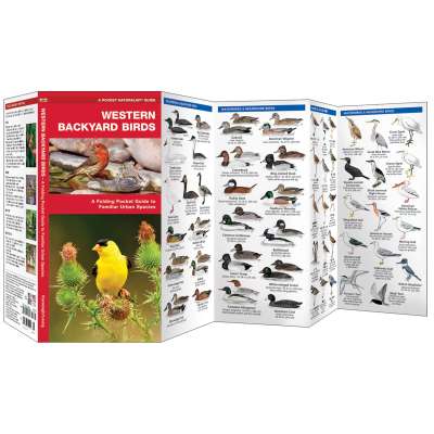 Bird Identification Guides :Western Backyard Birds