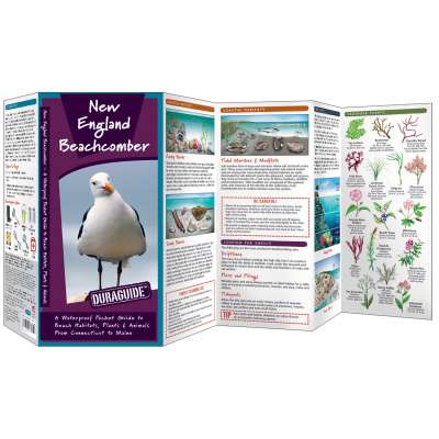 Aquarium Gifts and Books :New England Beachcomber