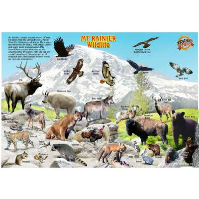 Mt. Rainier National Park Map & Wildlife Guide
