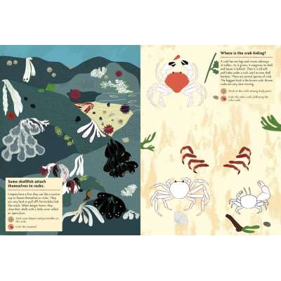 My Nature Sticker Activity Book: At the Seashore