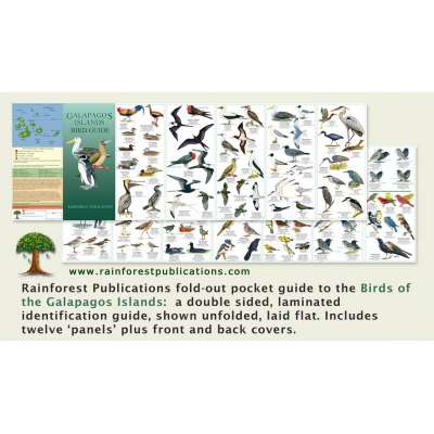 Bird Identification Guides :Galapagos Islands Birds Field Guide