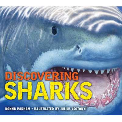 Discovering Sharks